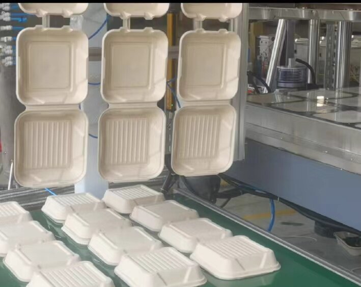 Sustainable Minimalistic Tableware Packaging Market Competitive Landscape & Future Outlook 2