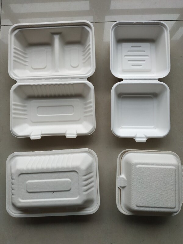 Sustainable Minimalistic Tableware Packaging Market Competitive Landscape & Future Outlook 1