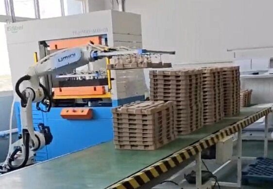 Transforming the  Industry with Eco-Friendly Molded Pulp Packaging