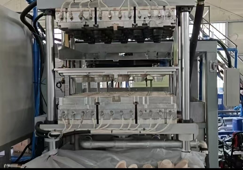 Cosmetics Industry with Eco-Friendly Molded Pulp Packaging